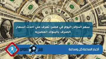 سعر الدولار اليوم في مصر: تعرف على أحدث أسعار الصرف بالبنوك المصرية
